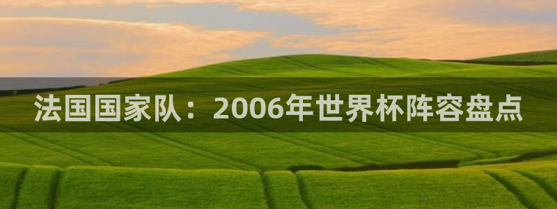 2026世界杯预选赛：法国国家队：2006年世界杯阵容盘点