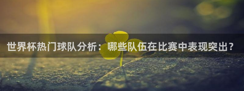 2026世界杯官网入口：世界杯热门球队分析：哪些队伍在比赛中表现突出？