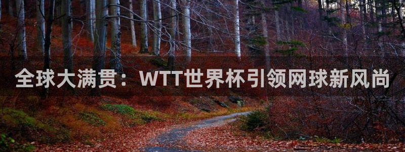 26世界杯：全球大满贯：WTT世界杯引领网球新风尚