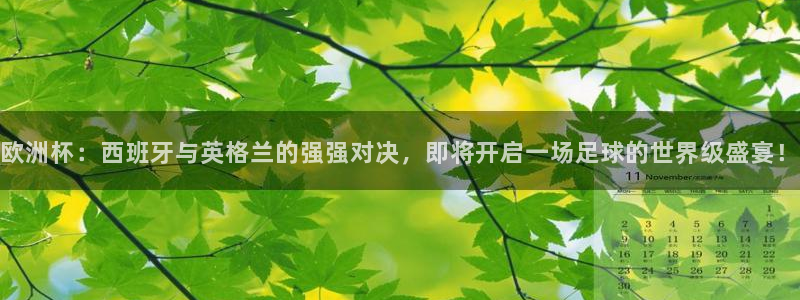 2026世界杯欧洲预选赛赛程表：欧洲杯：西班牙与英格兰的强强对决，即将开启一场足球的世界级盛宴！