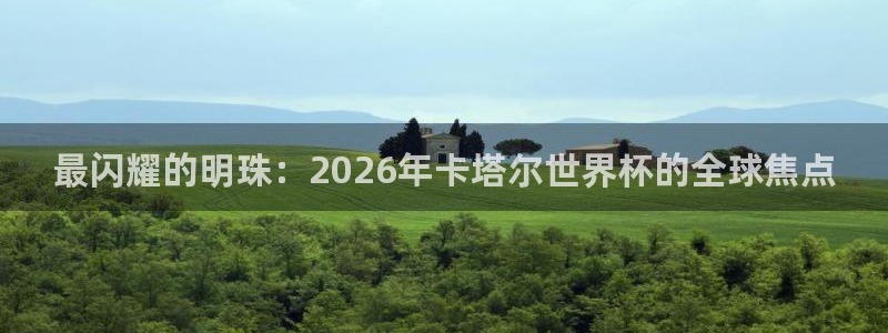 世界杯球队排名：最闪耀的明珠：2026年卡塔尔世界杯的全球焦点