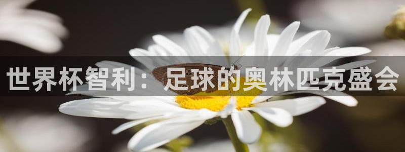 世界杯官网：世界杯智利：足球的奥林匹克盛会