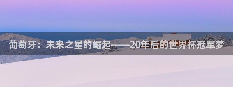 足球世界杯预选赛：葡萄牙：未来之星的崛起——20年后的世界杯冠军梦