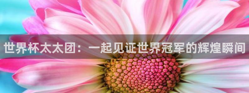世界杯对阵表：世界杯太太团：一起见证世界冠军的辉煌瞬间