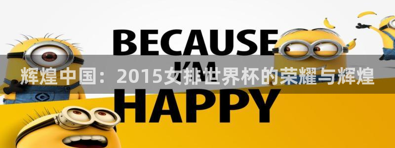 2026男足世界杯：辉煌中国：2015女排世界杯的荣耀与辉煌