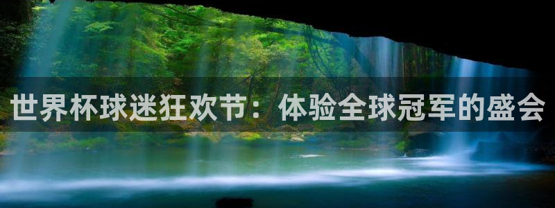 世界杯 直播：世界杯球迷狂欢节：体验全球冠军的盛会