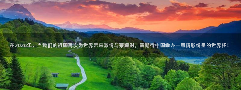足球世界杯预选赛：在2026年，当我们的祖国再次为世界带来激情与荣耀时，请期待中国举办一届精彩纷呈的世界杯！